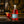 GinZoil ® The Red One